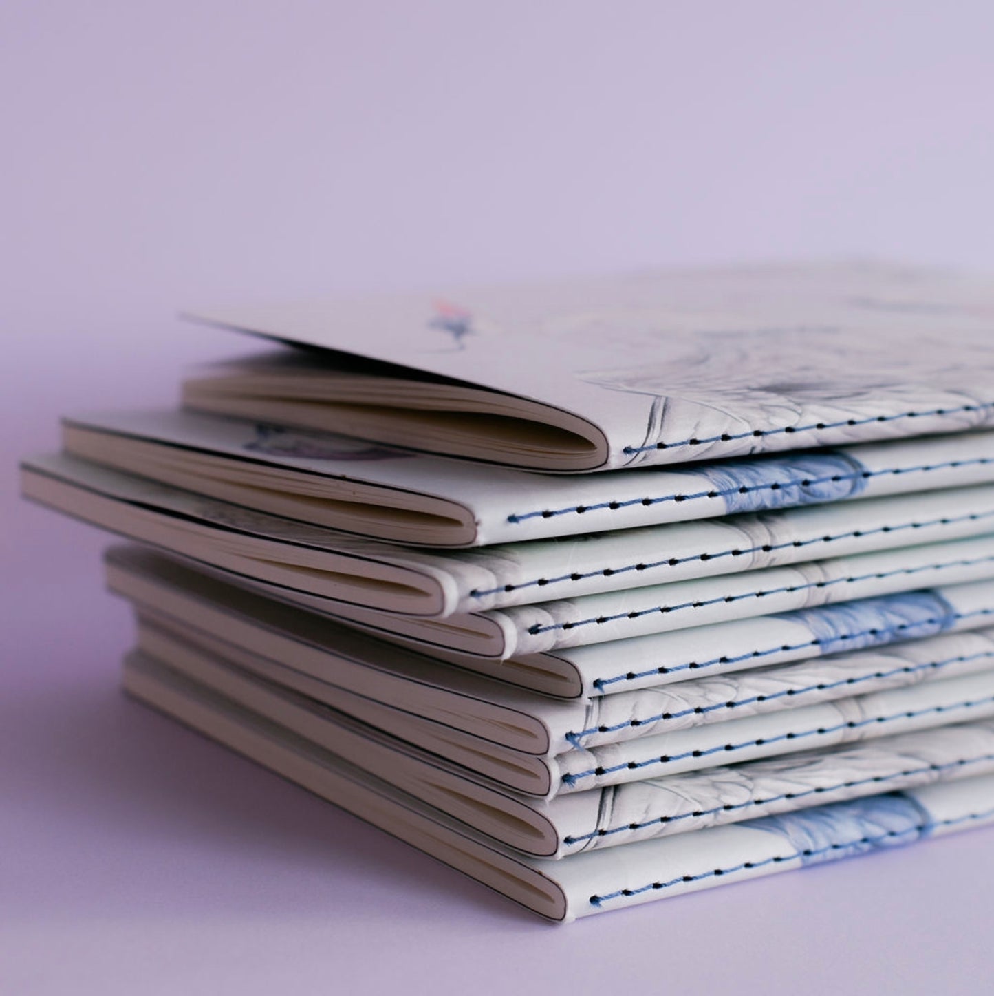 Libretas Garzas