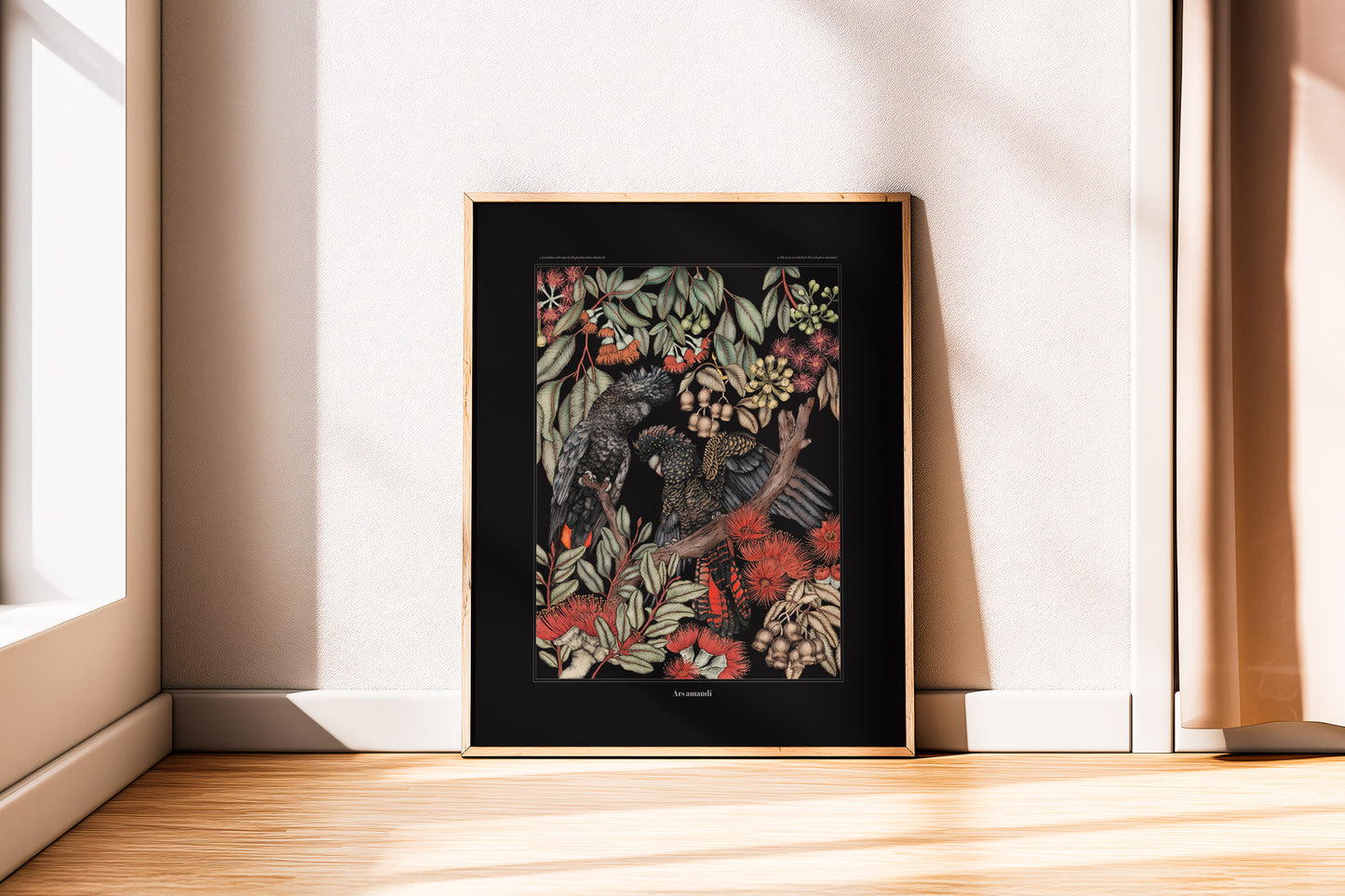 Cacatuas de cola roja