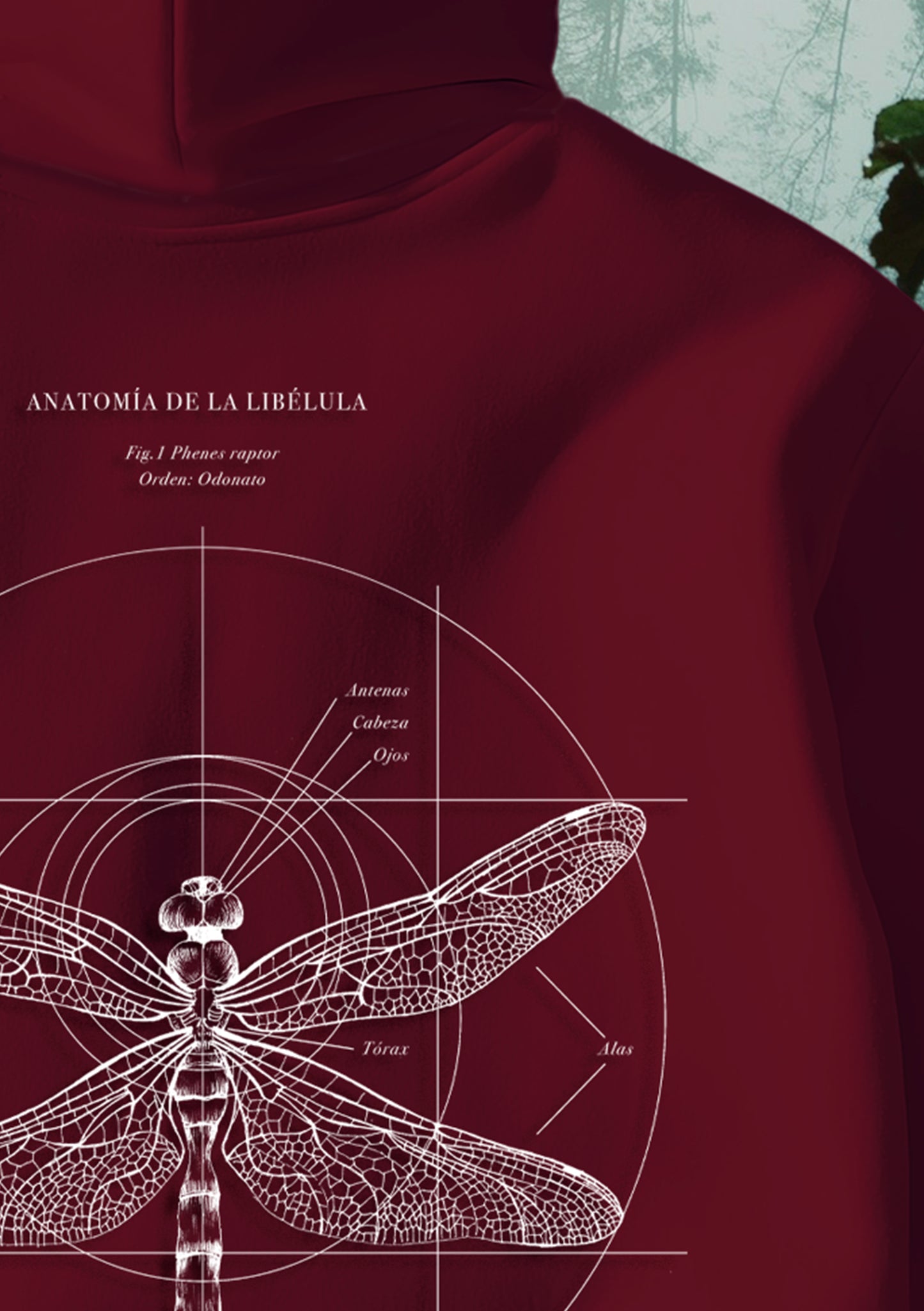 Polerón Hoodie Libélula - Colección Básicos