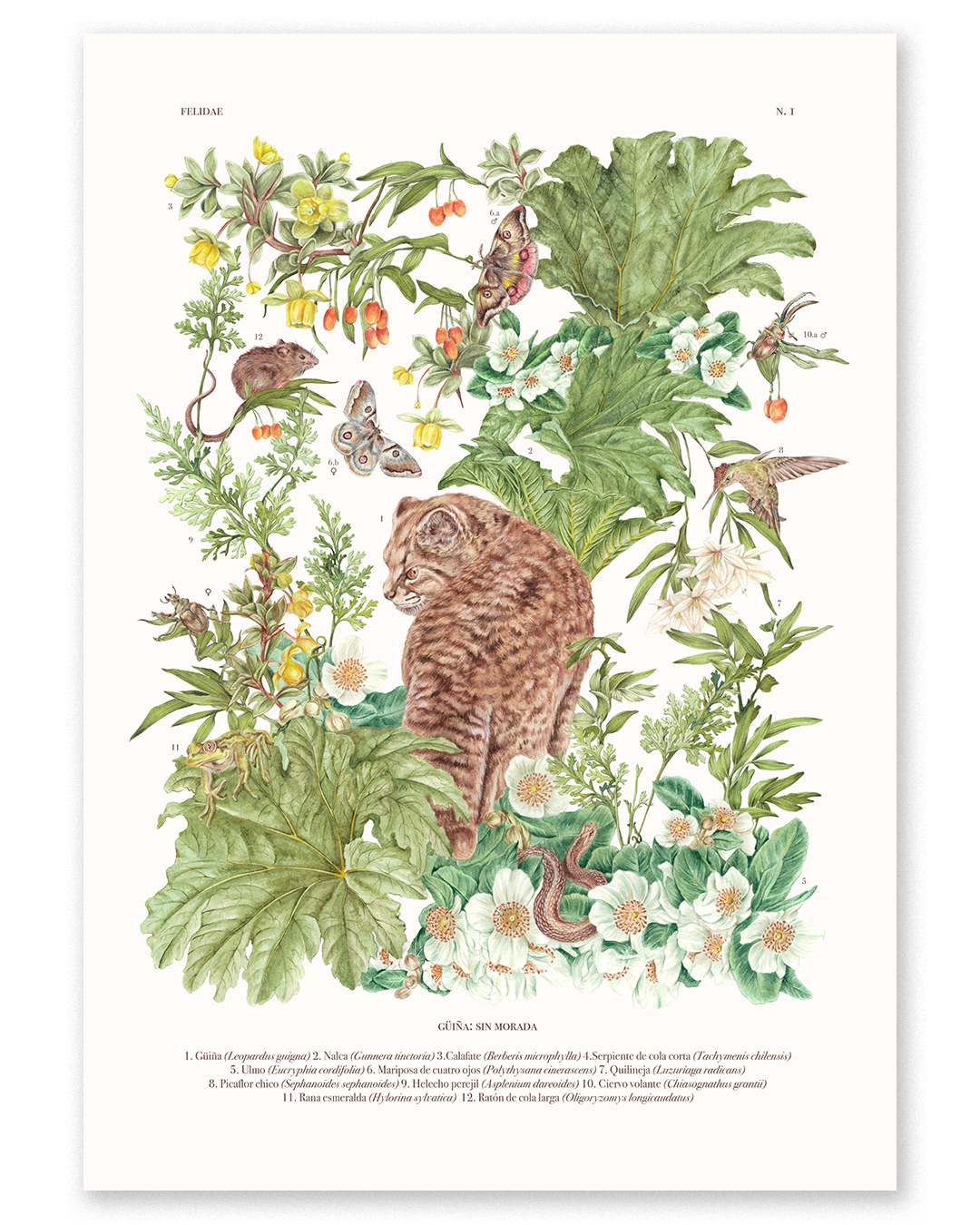 Fine Art Guiña: Sin morada