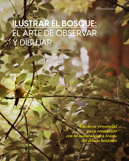 Ilustrar el Bosque: El arte de observar