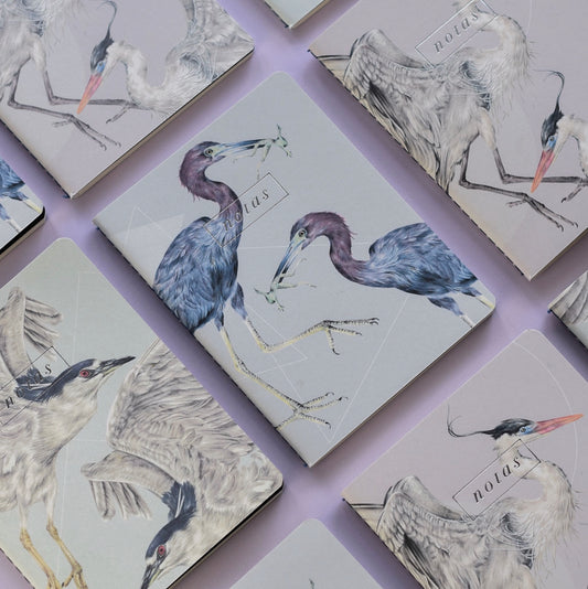 Libretas Garzas