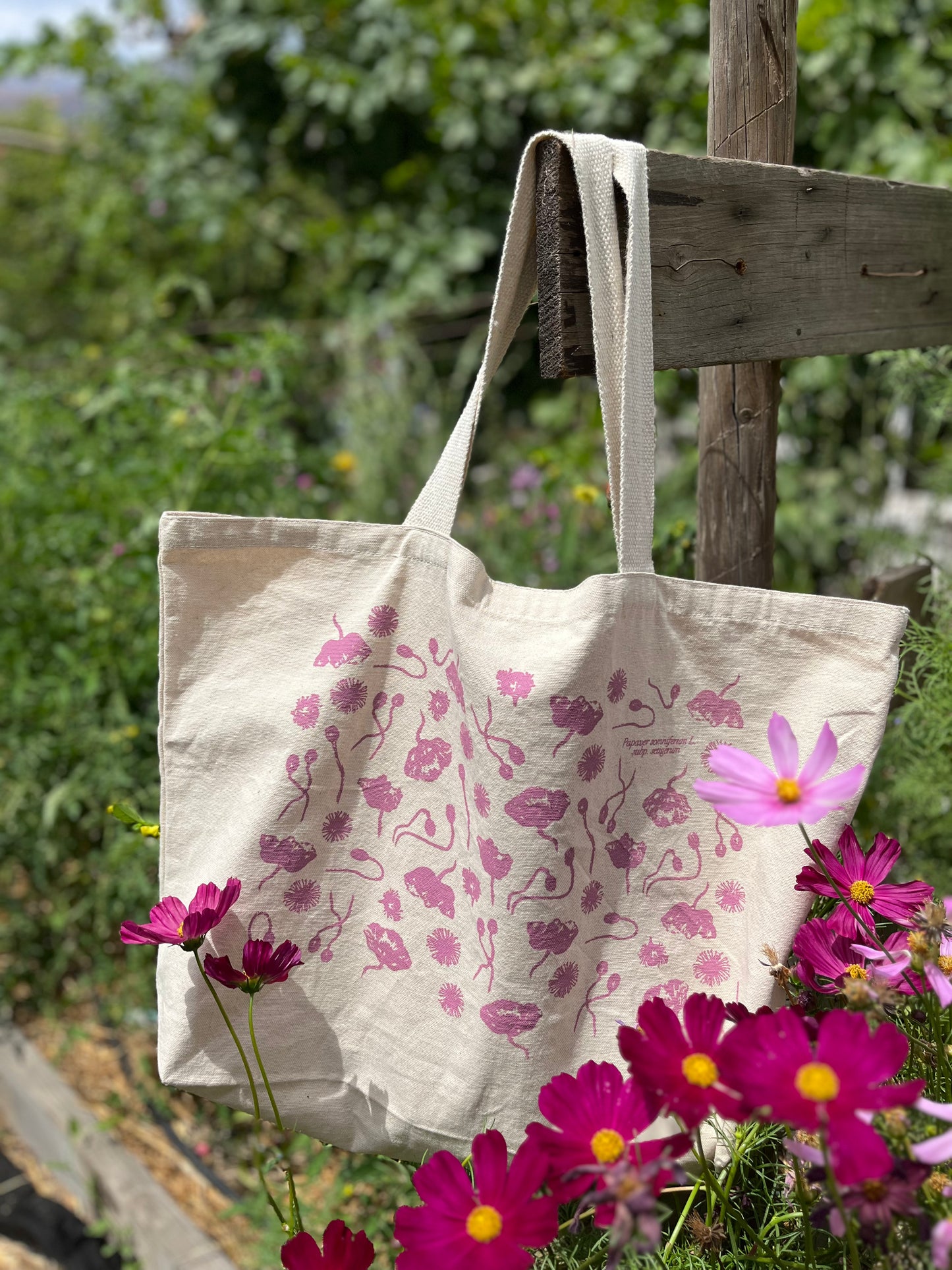 Tote: Naturaleza es creatividad infinita