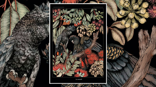 Cacatuas de cola roja