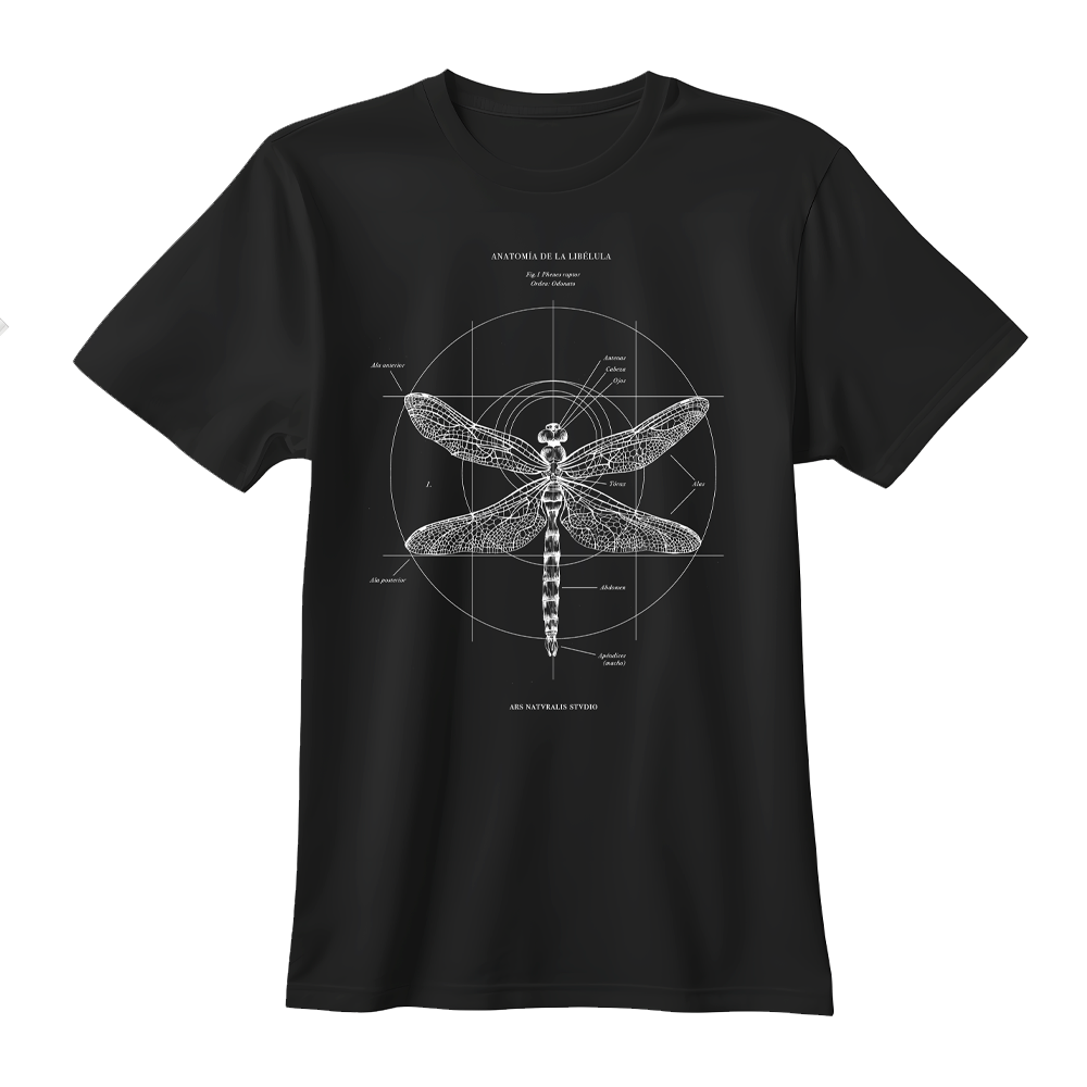 Polera Anatomía de la Libélula