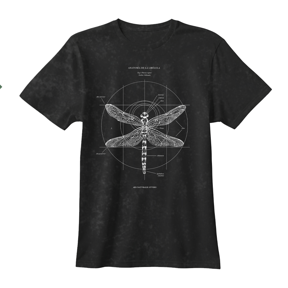 Polera Anatomía de la Libélula