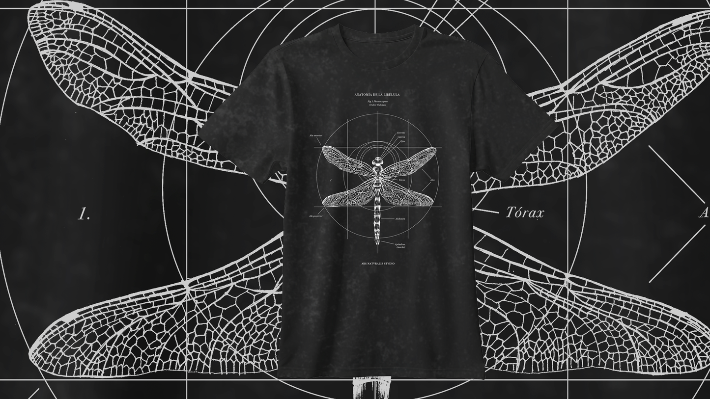 Polera Anatomía de la Libélula