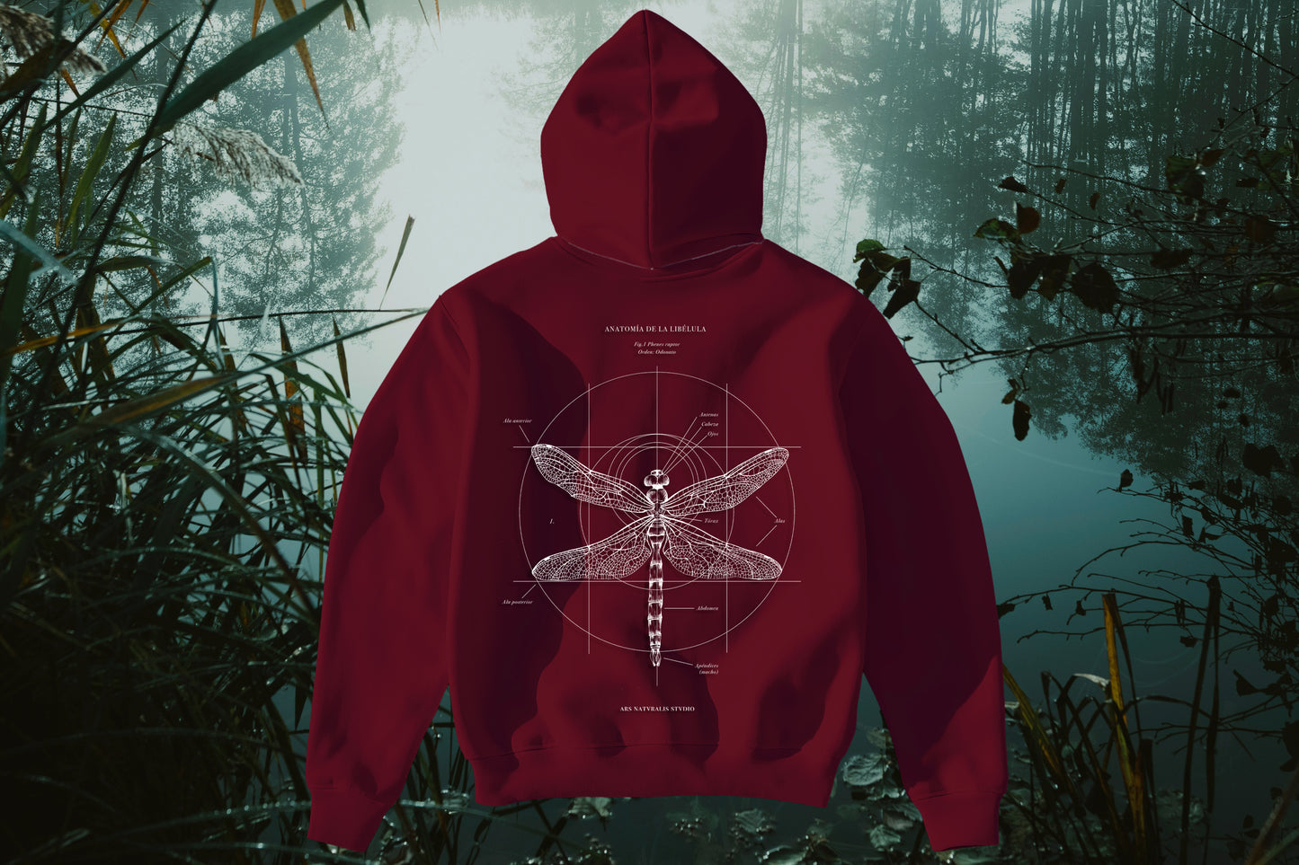 Polerón Hoodie Libélula - Colección Básicos