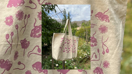 Tote: Naturaleza es creatividad infinita